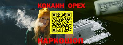 spice Гудермес