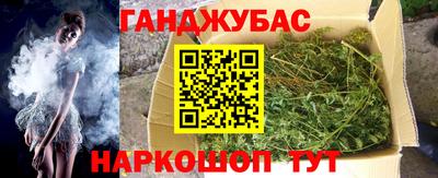 spice Гудермес